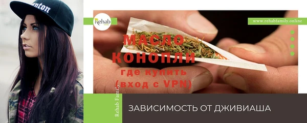 шишки Барнаул