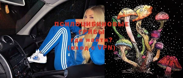 мдма Бородино