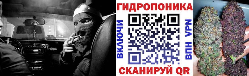 МАРИХУАНА Amnesia  сколько стоит  Моршанск 